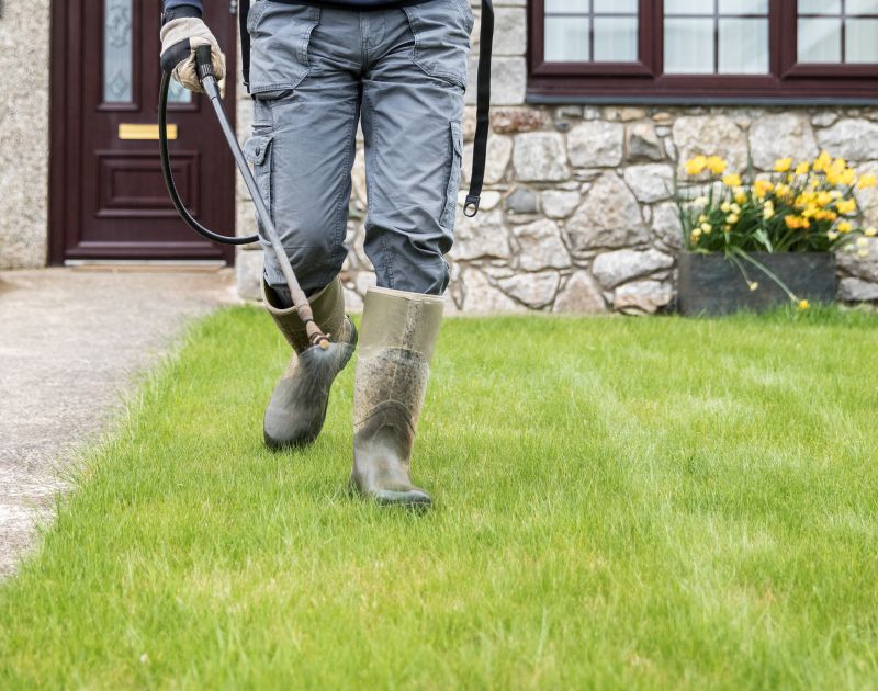 Commercial Yard Maintenance