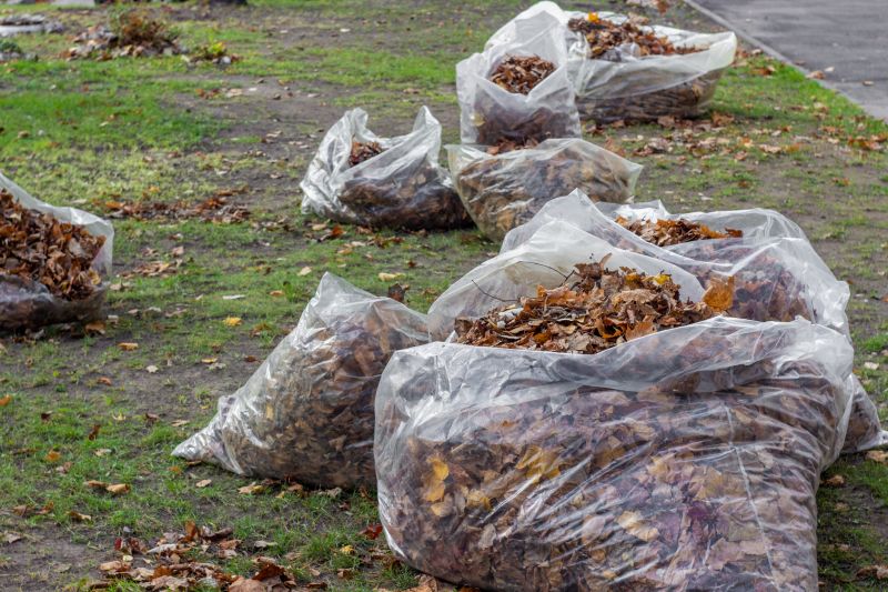 Leaves Being Disposed of