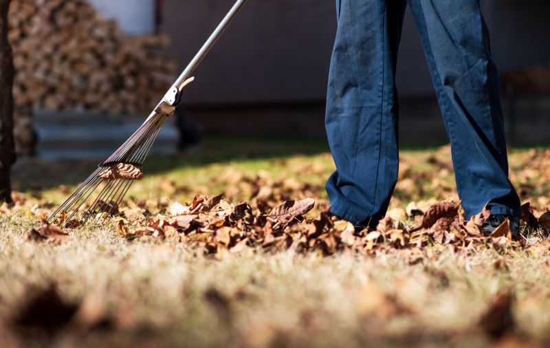 Leaf Raking and Collection