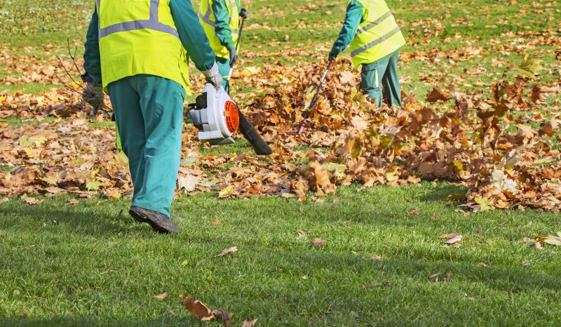 Leaf Blowing for Efficient Cleanup