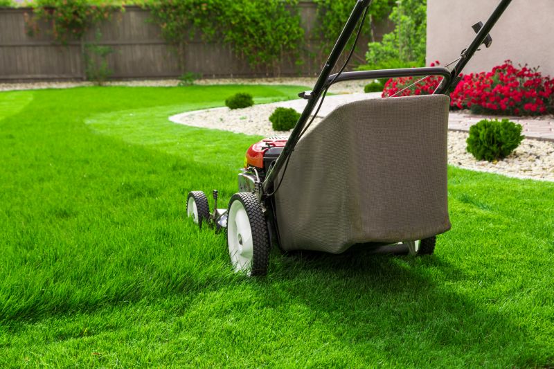Yard Mowing detail