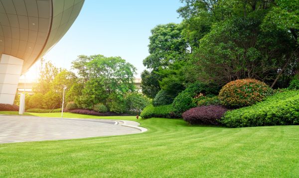 Cost of Commercial Lawn Mowing in Gig Harbor