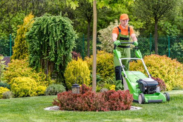 Yard Service in Gig Harbor