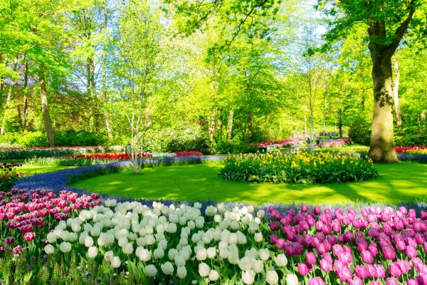 Spring Lawn Care in Gig Harbor