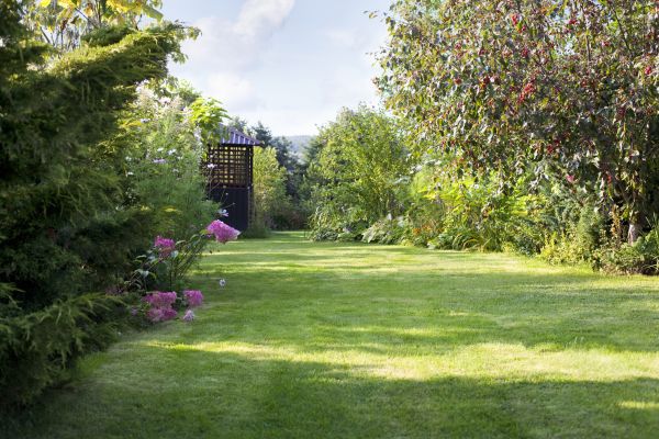 Yard Upkeep Service in Gig Harbor
