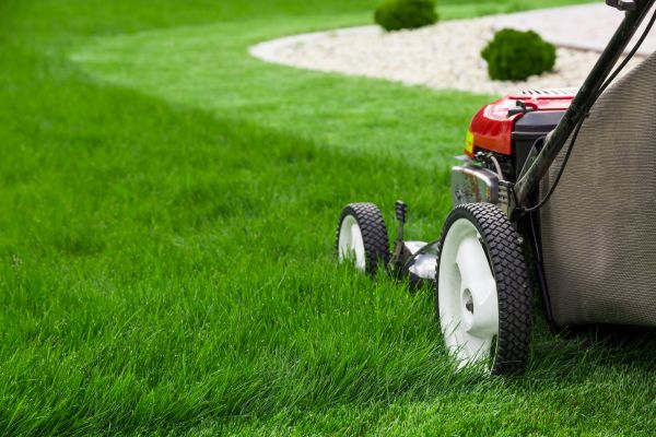 Lawn Service in Gig Harbor