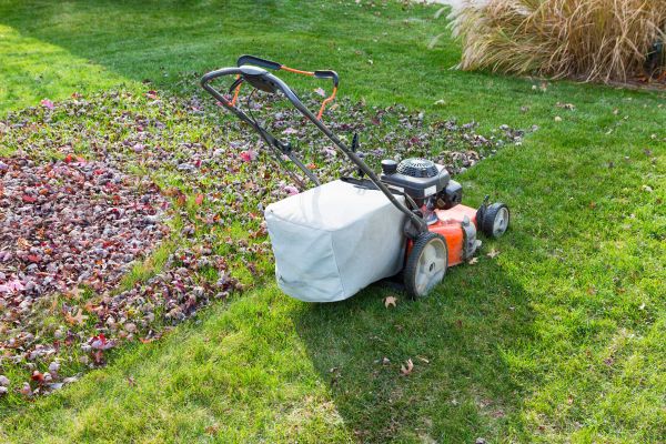 Seasonal Lawn Care in Gig Harbor