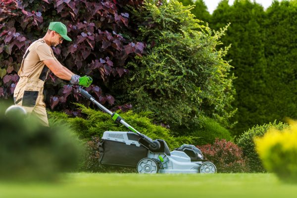 Lawn Management in Gig Harbor