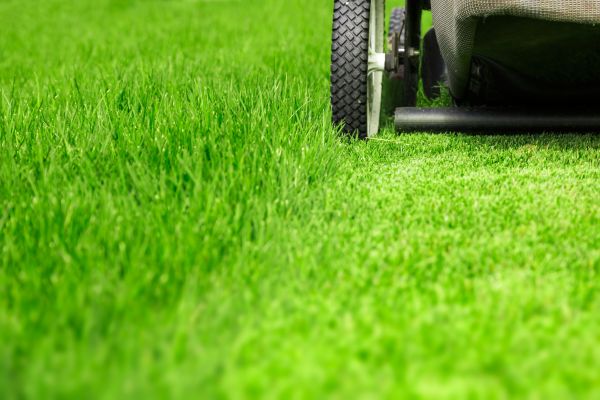 Weekly Lawn Care in Gig Harbor
