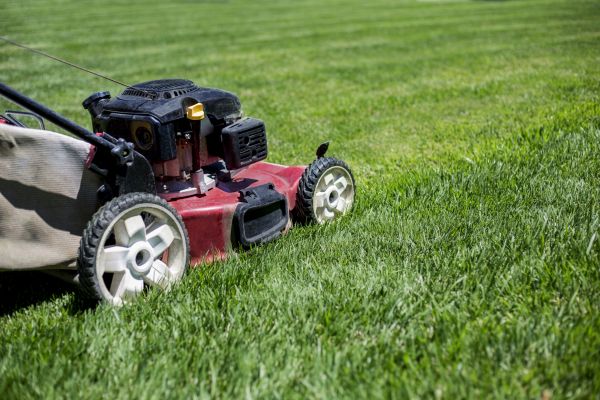 Routine Lawn Care in Gig Harbor