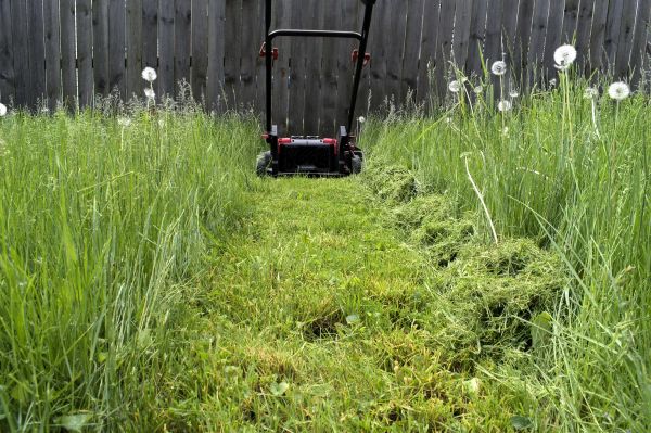 High Grass Mowing in Gig Harbor