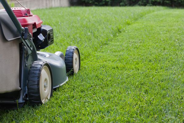 Summer Lawn Care in Gig Harbor