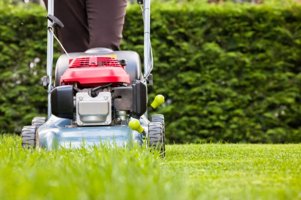 Grass Trimming Service in Gig Harbor