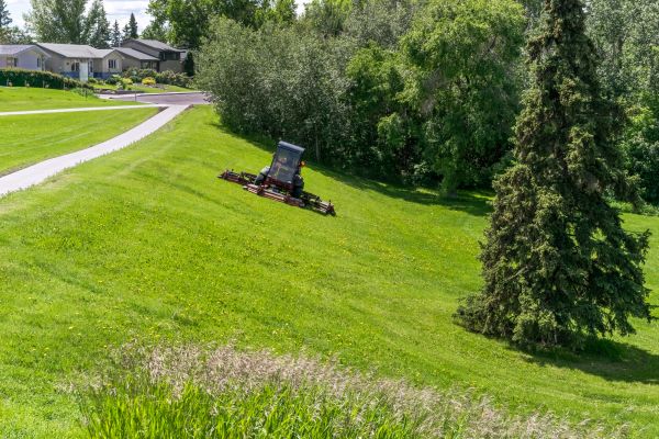 Hill Mowing in Gig Harbor