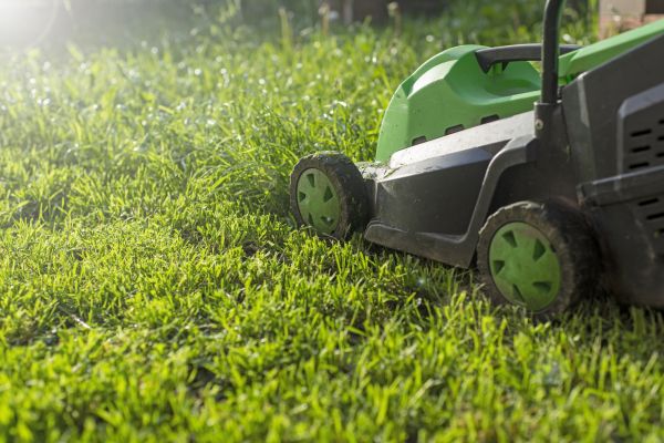 Yard Trimming in Gig Harbor