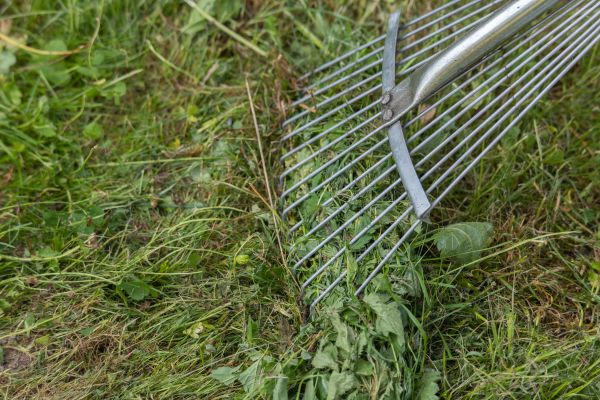 Thatch Raking in Gig Harbor