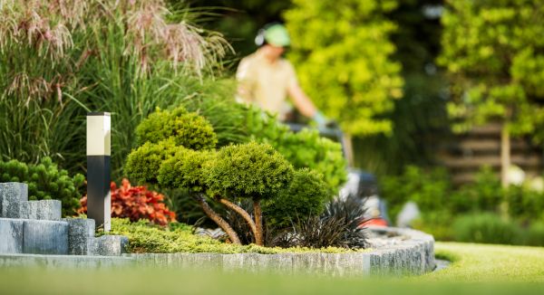 Residential Yard Maintenance in Gig Harbor