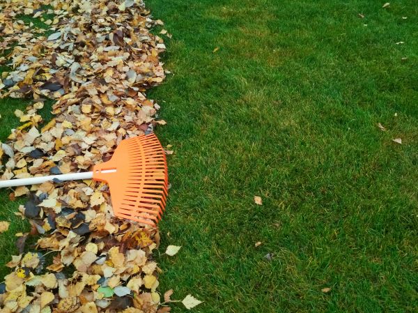 Fall Lawn Care in Gig Harbor