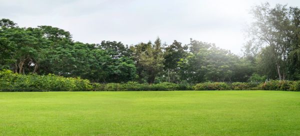 Cost of Golf Course Mowing in Gig Harbor